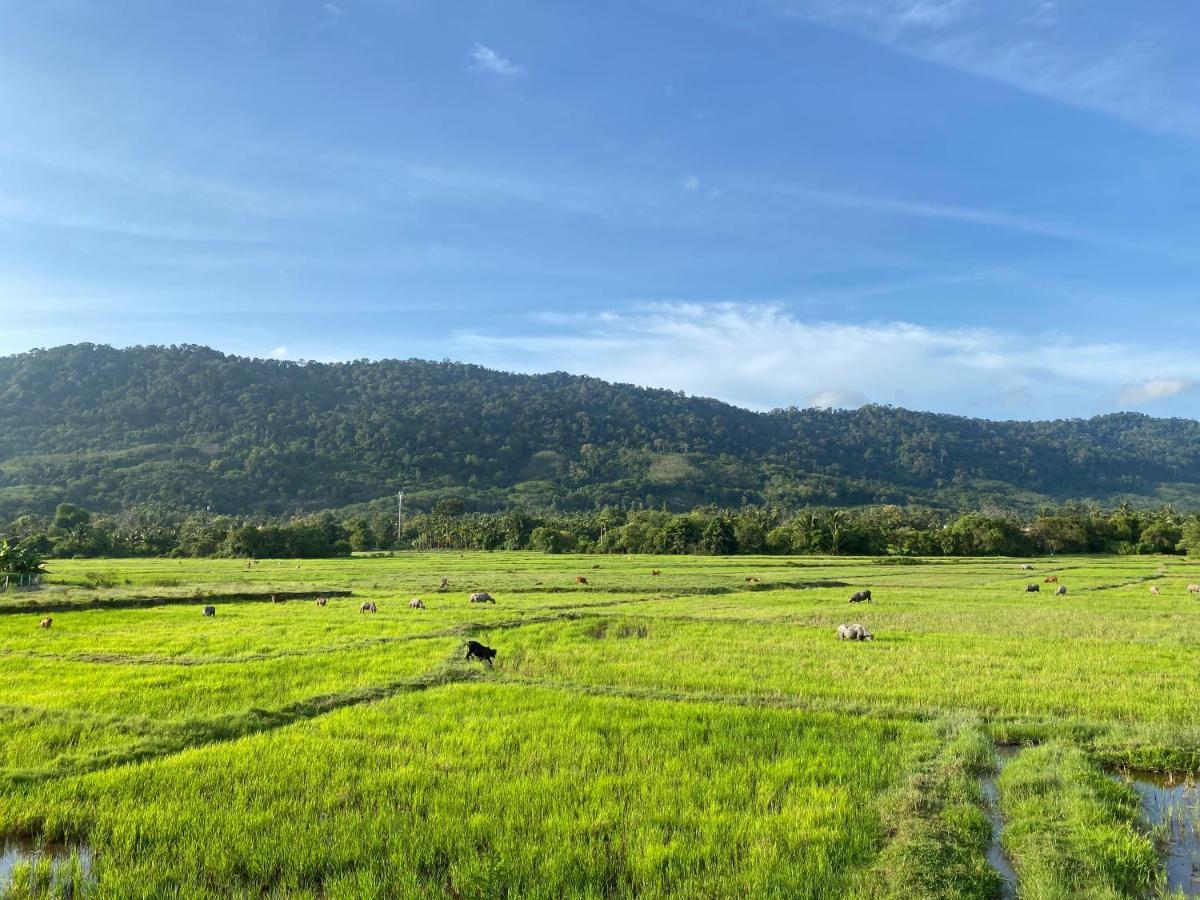 Lamanleman Langkawi Pantai Cenang  Dış mekan fotoğraf